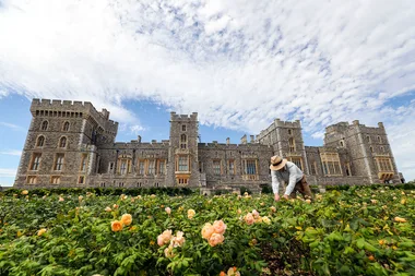 The most common flowers in the Queen’s private gardens