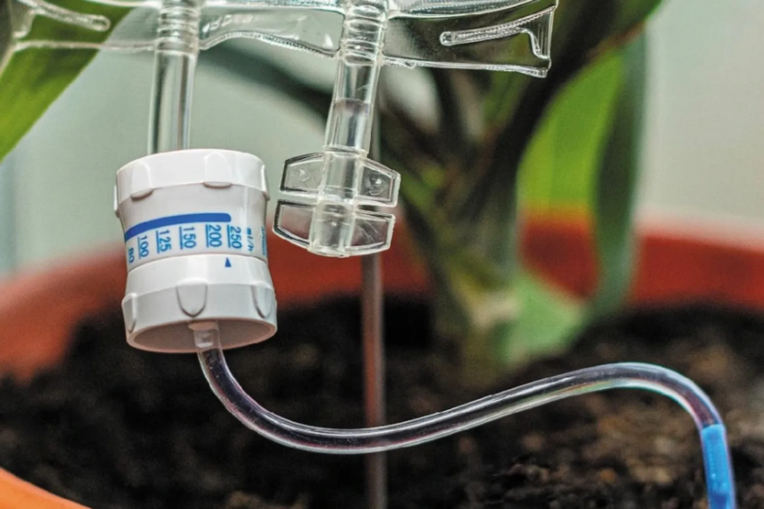 plant life support