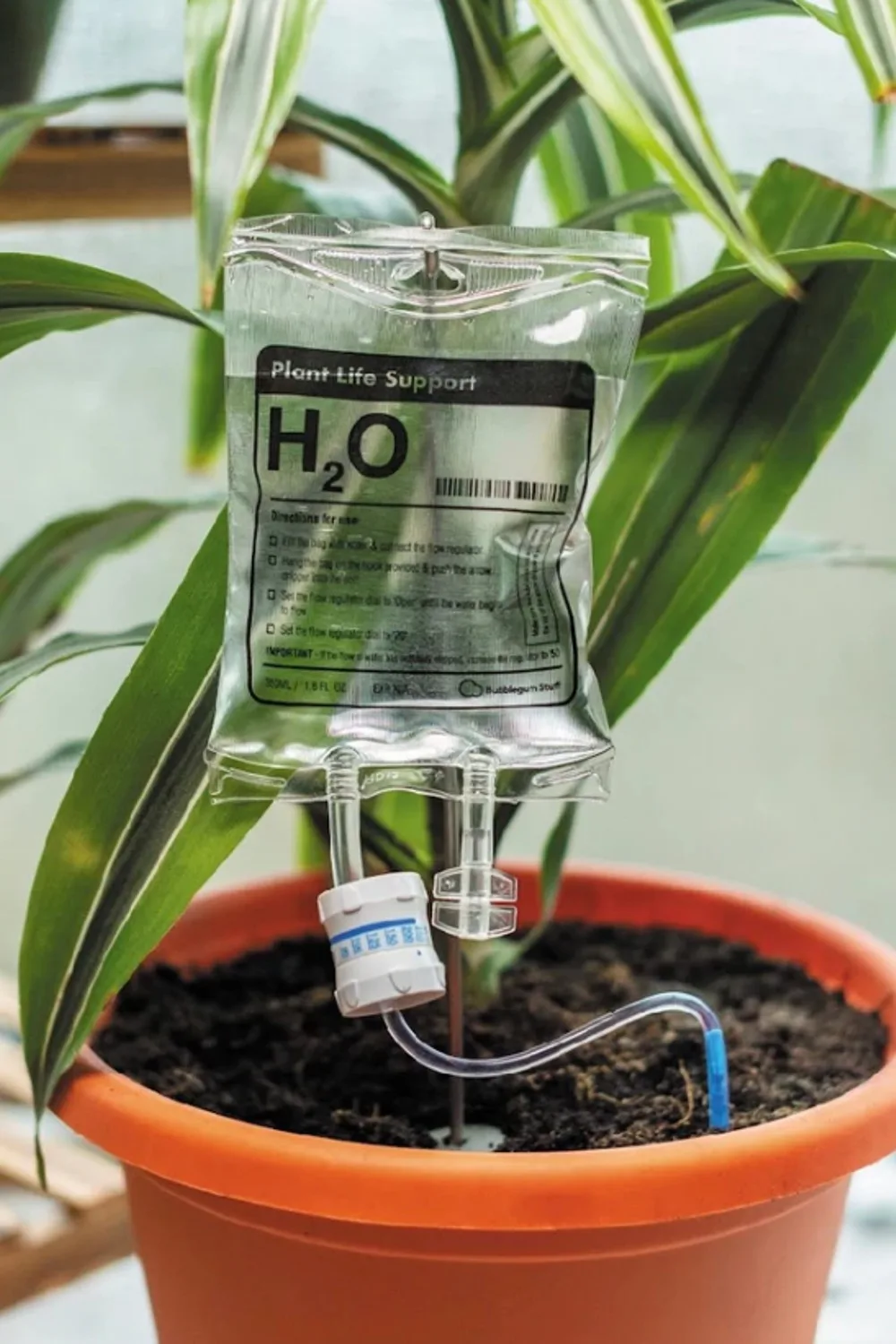 plant life support