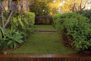 How to prevent a soggy lawn