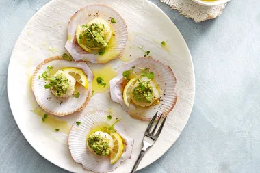 Seared scallops in shells with green olive tapenade