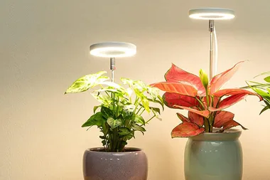 These 5 grow lights will keep your indoor plants thriving