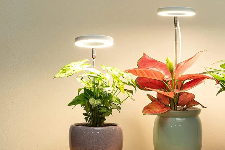 These 5 grow lights will keep your indoor plants thriving