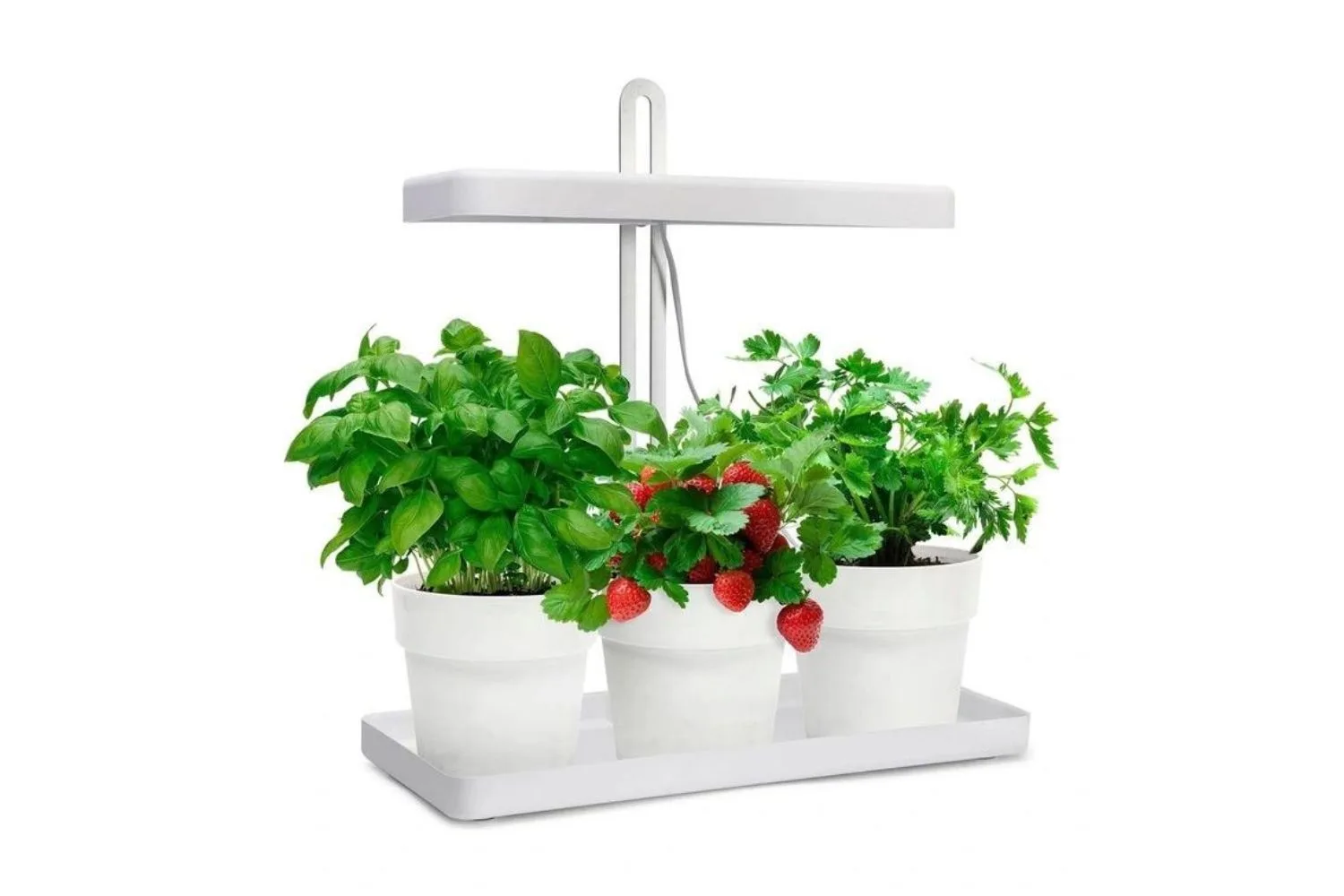 herb-garden-indoor-grow-lights