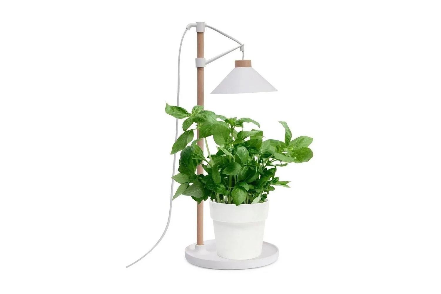 home-grown-table-grow-lamp