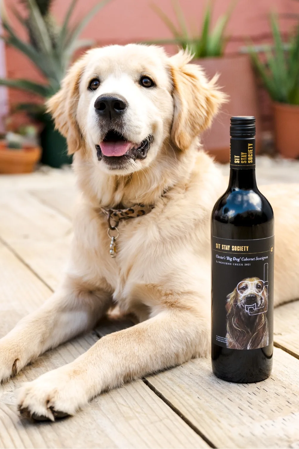 sit stay society wines