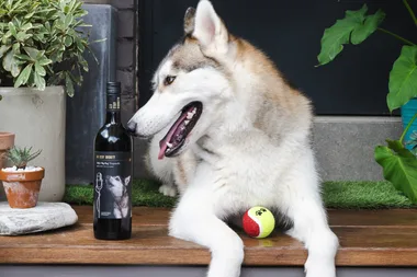Drinks for a cause: 6 drink brands that donate to charity