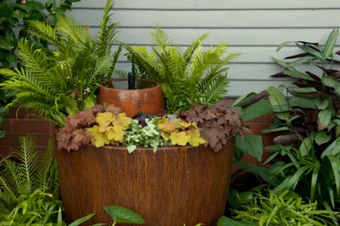 How to make a stunning foliage fountain