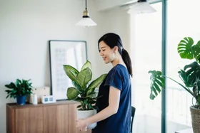 DIY dehumidifier: 6 simple ways to reduce moisture in your home