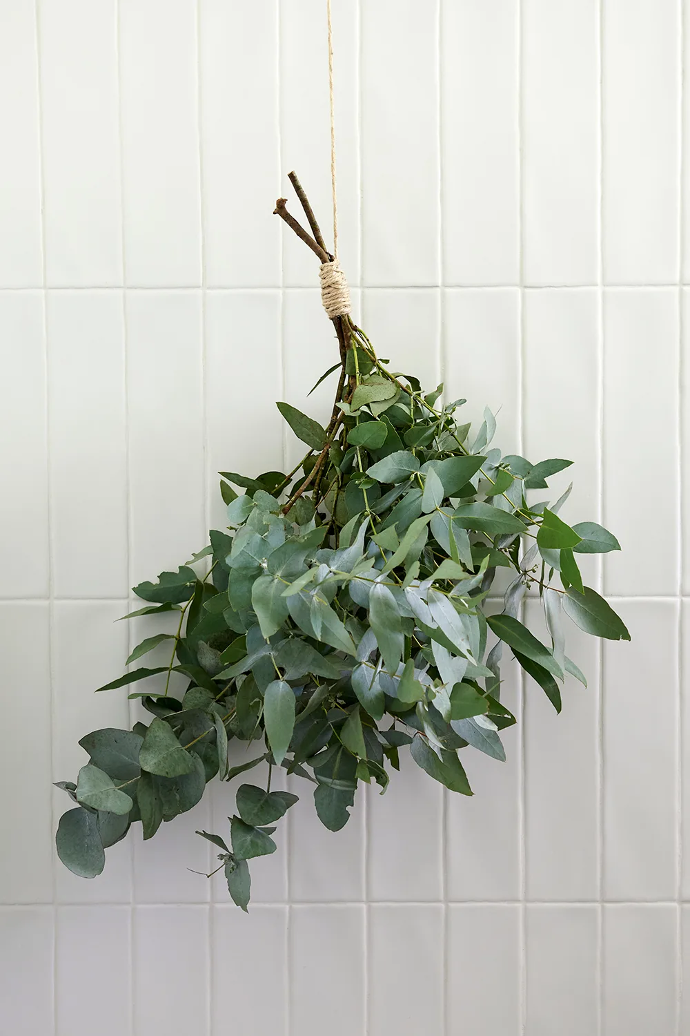 5. DIY moth repellant