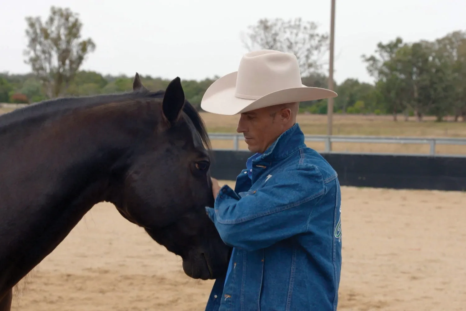 Dr Harry meets a horse trainer