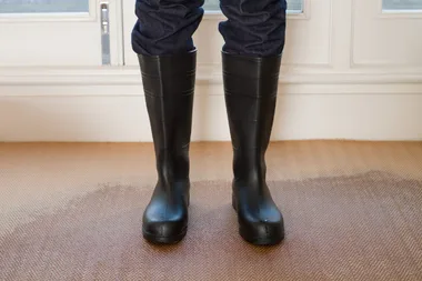 How to dry the carpet quickly