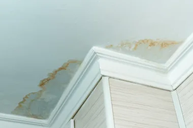 Brown spots? How to remove water stains from your ceiling