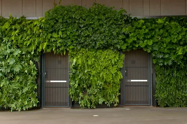 The power and science behind living green walls
