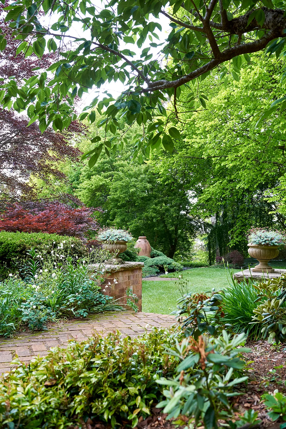 Windyridge garden