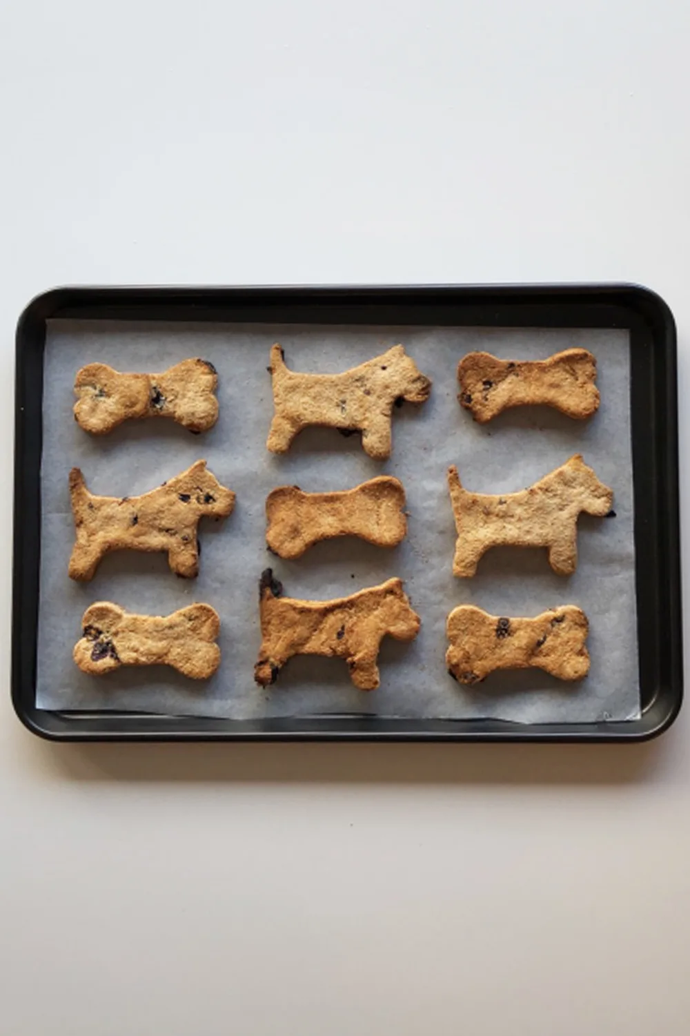 Fashion dr harry dog biscuits