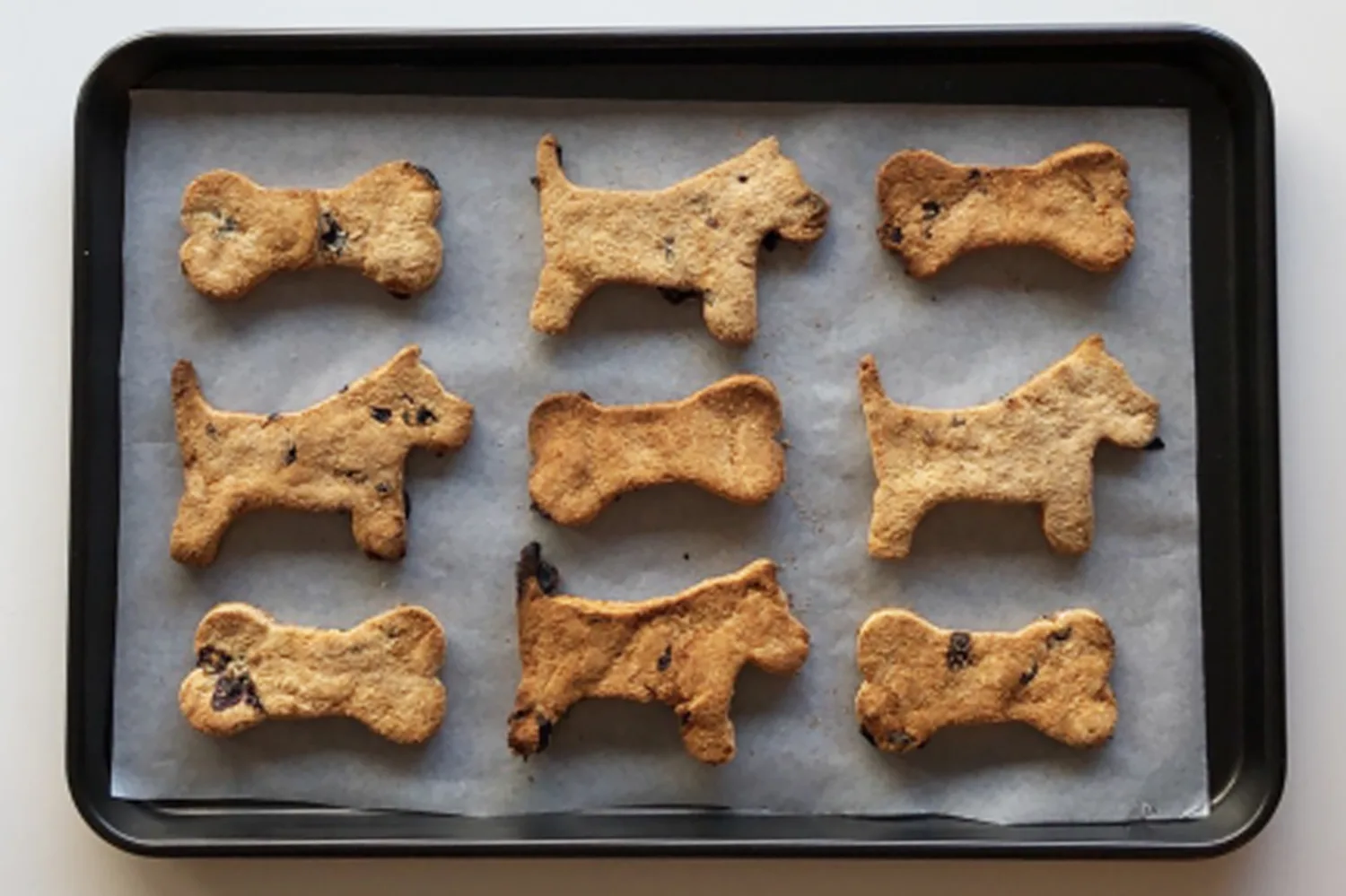 Fashion dr harry dog biscuits