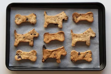 Dog cookie recipe
