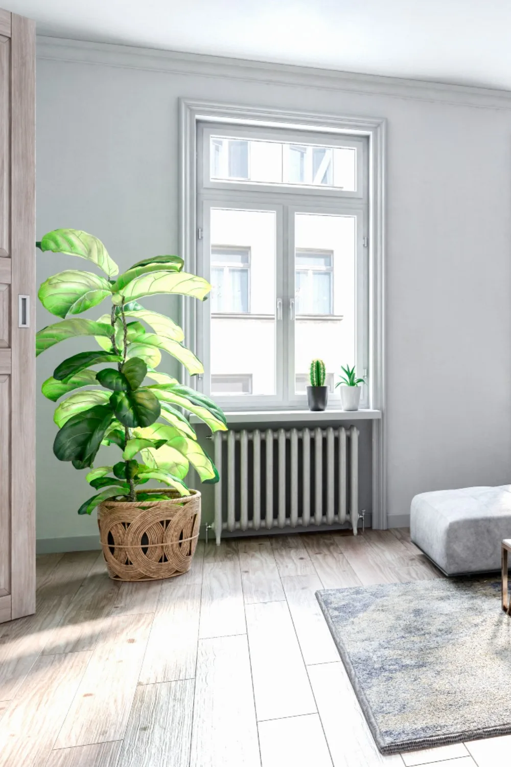 property styling tips
