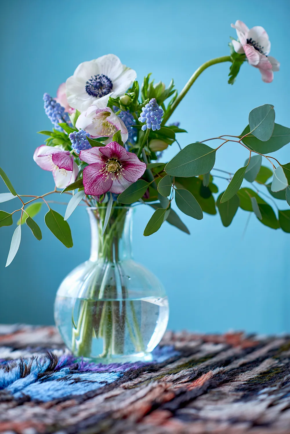 Freshly cut hellebores for indoors