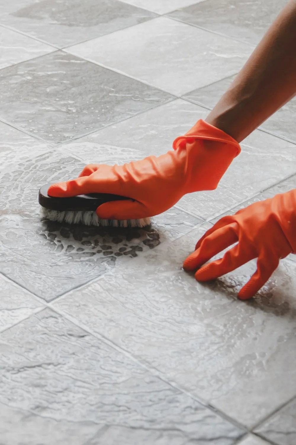 mould removal