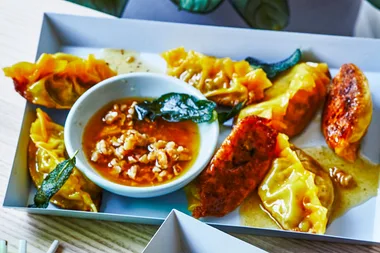 Roasted Brussels sprouts and cottage cheese potstickers