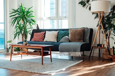 How to get rid of invisible mould