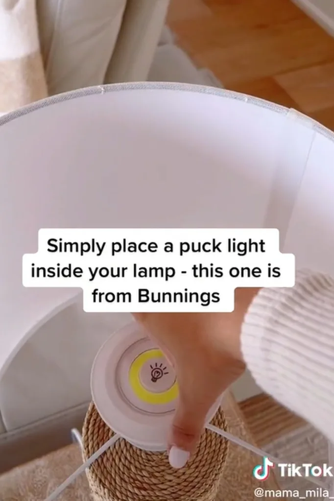puck light hack