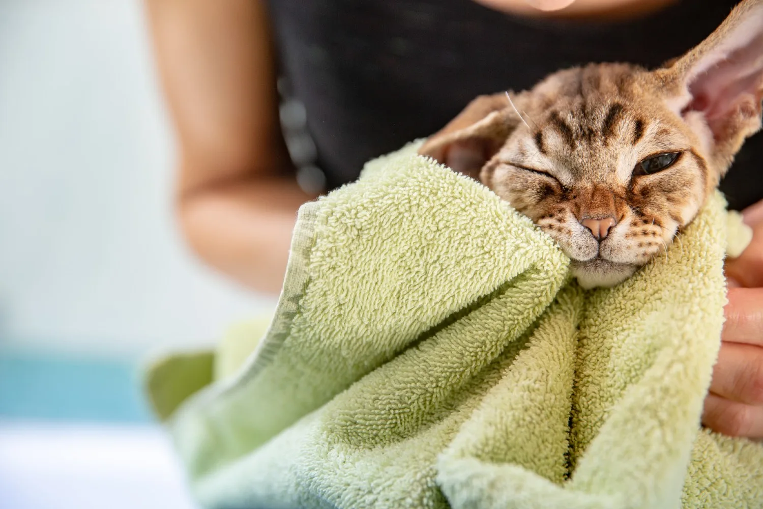new towels