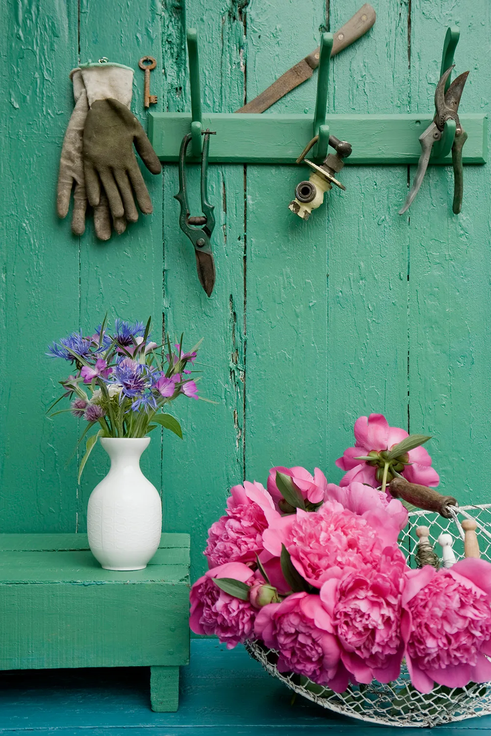 Vivid colour