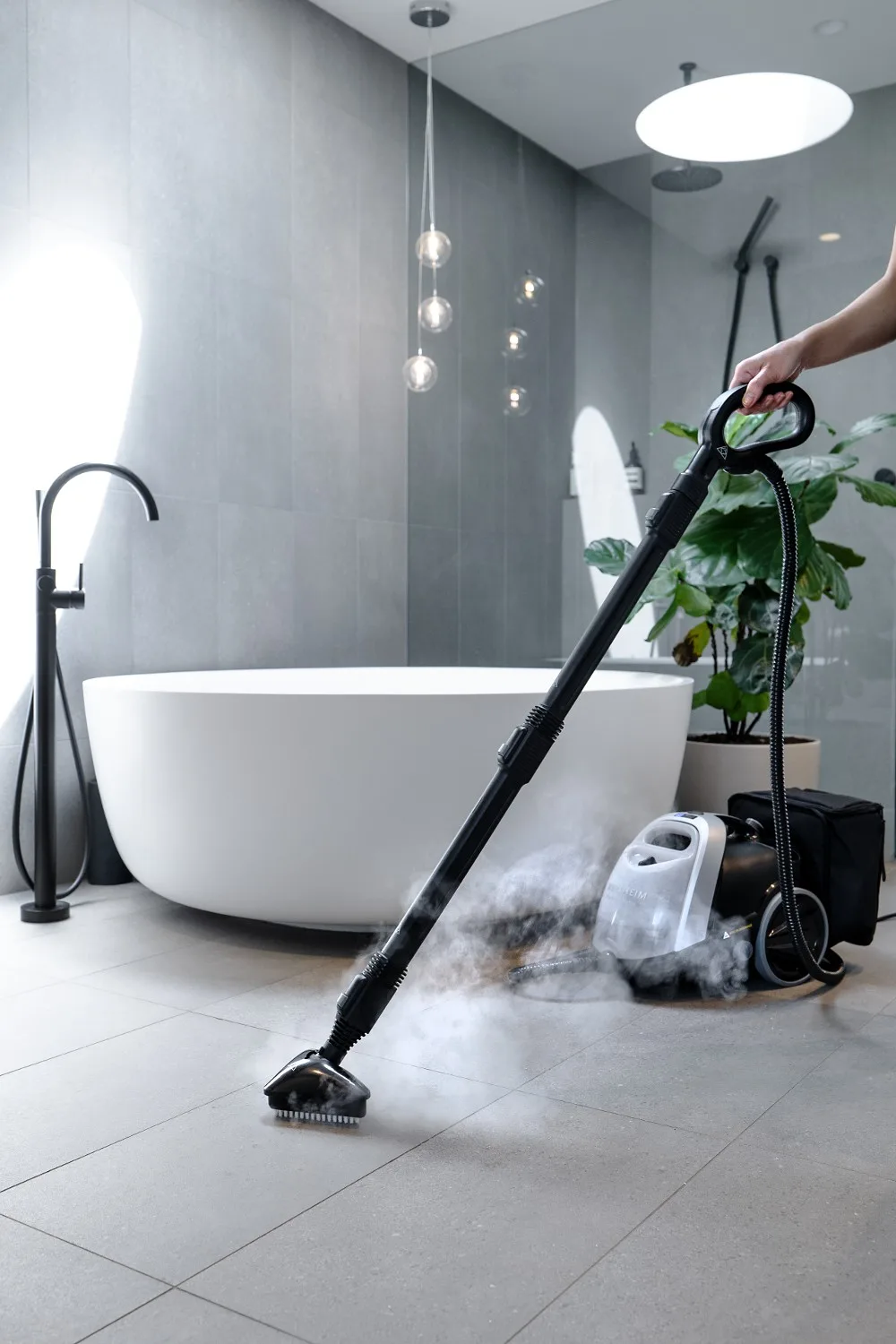 steam natural cleaner