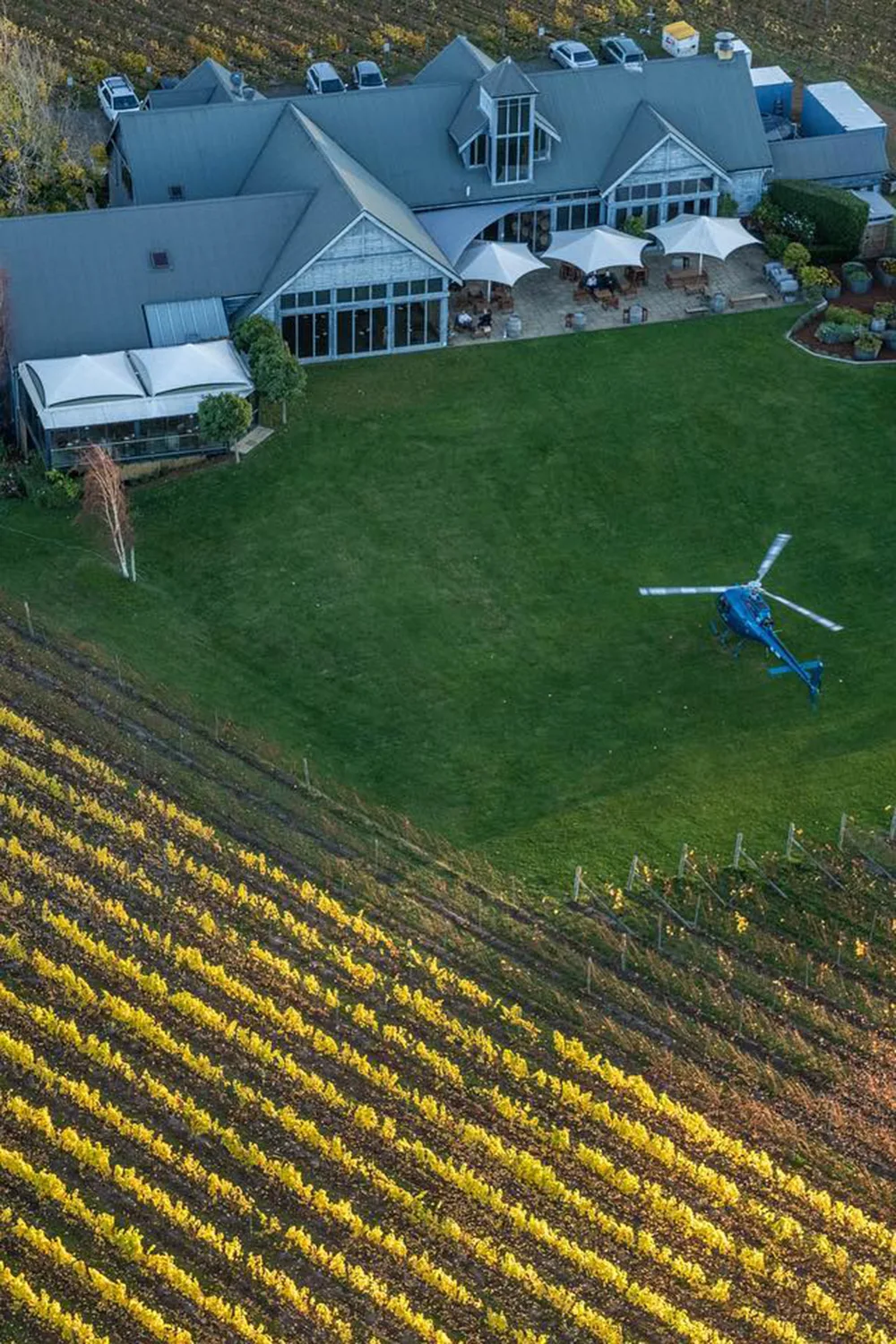 Tasmanian Air Tours