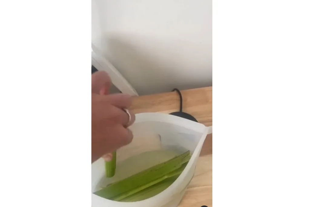 waste less food