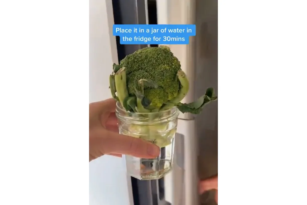 waste less food
