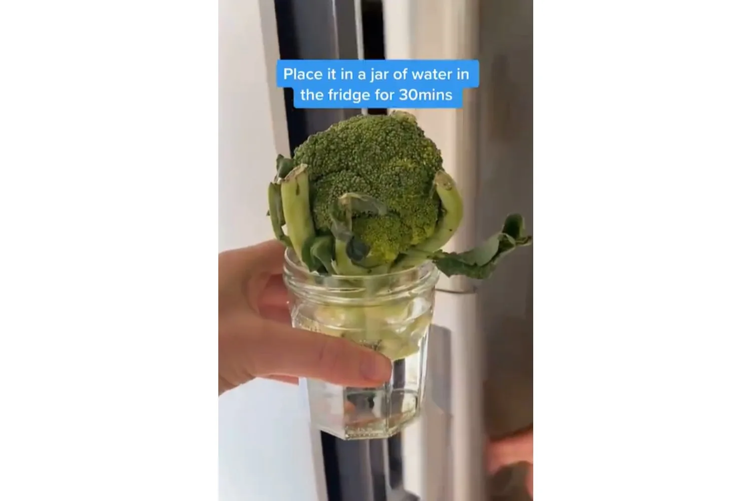 waste less food