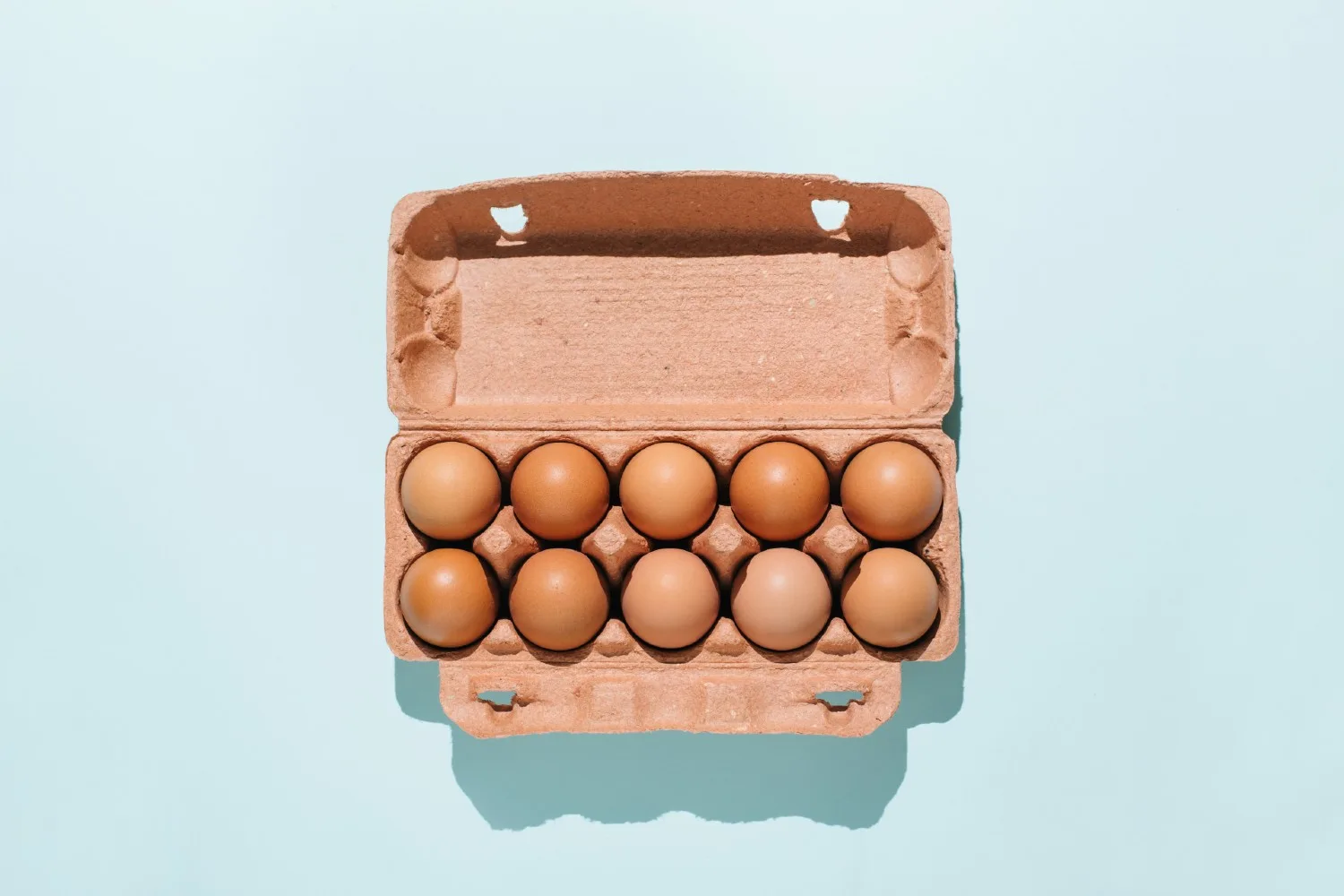 toxic eggs