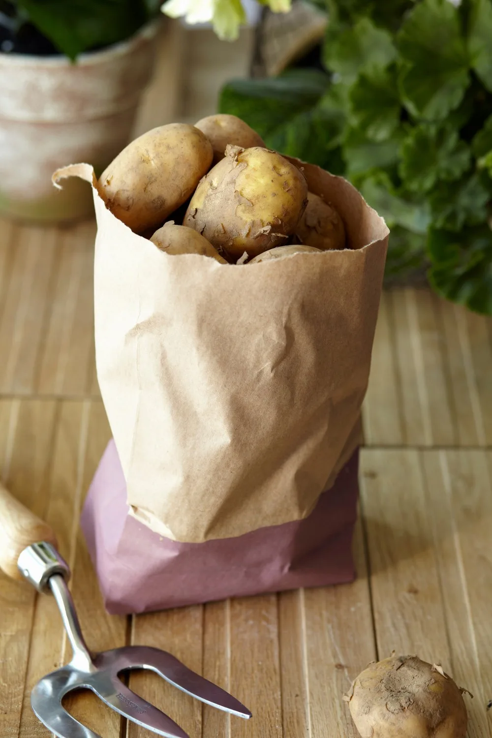 potatoes in a bag