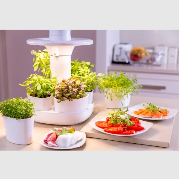 indoor herb garden