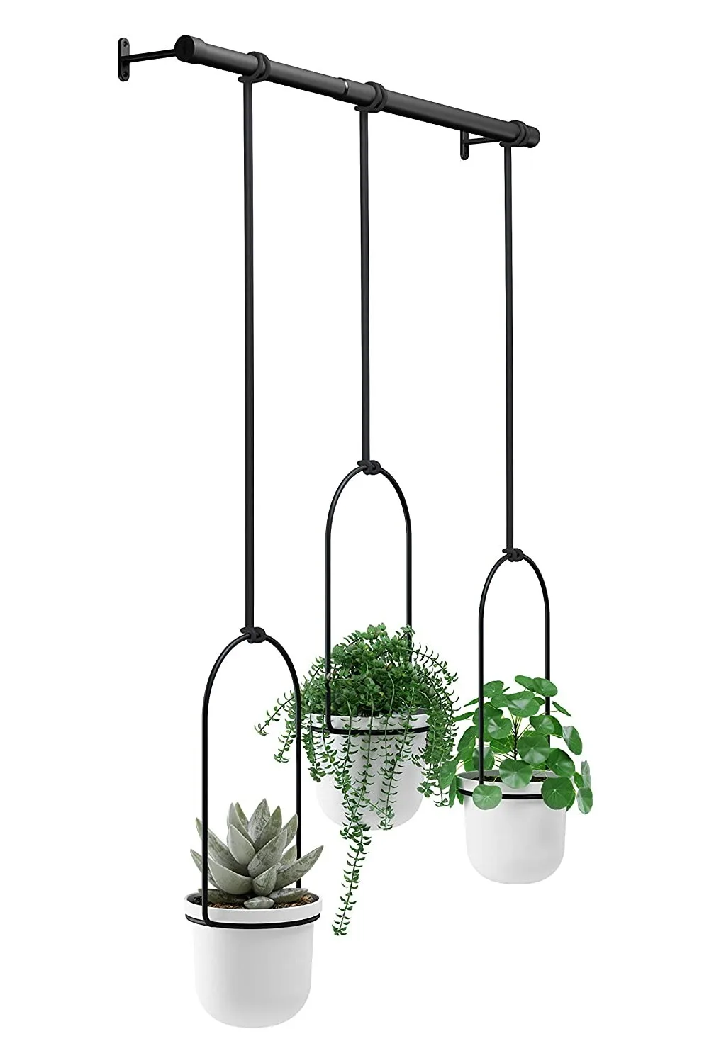 herb garden