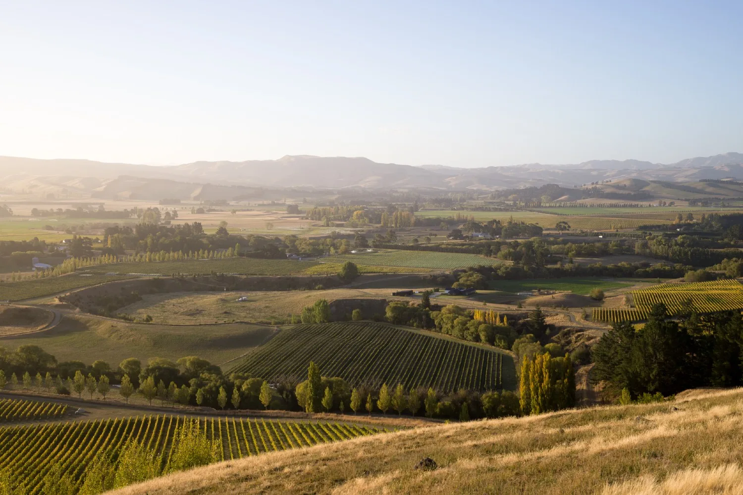 Plan a Pinot Noir pilgrimage from Christchurch to the Waipara Valley