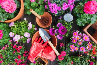 3 Clever Spring Garden Refresh Tips