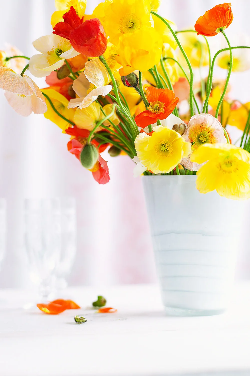 Poppies