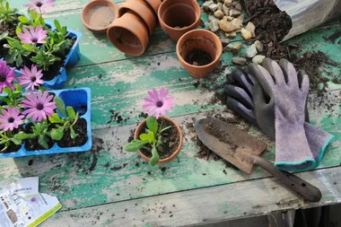 The best way to prevent weeds in your garden might surprise you