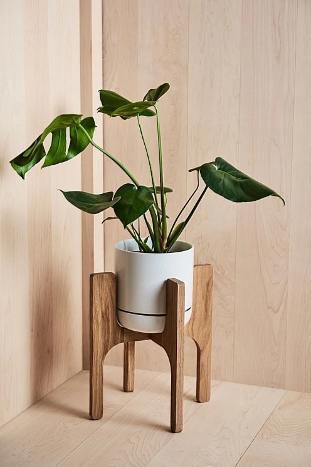country-road-plant-stand