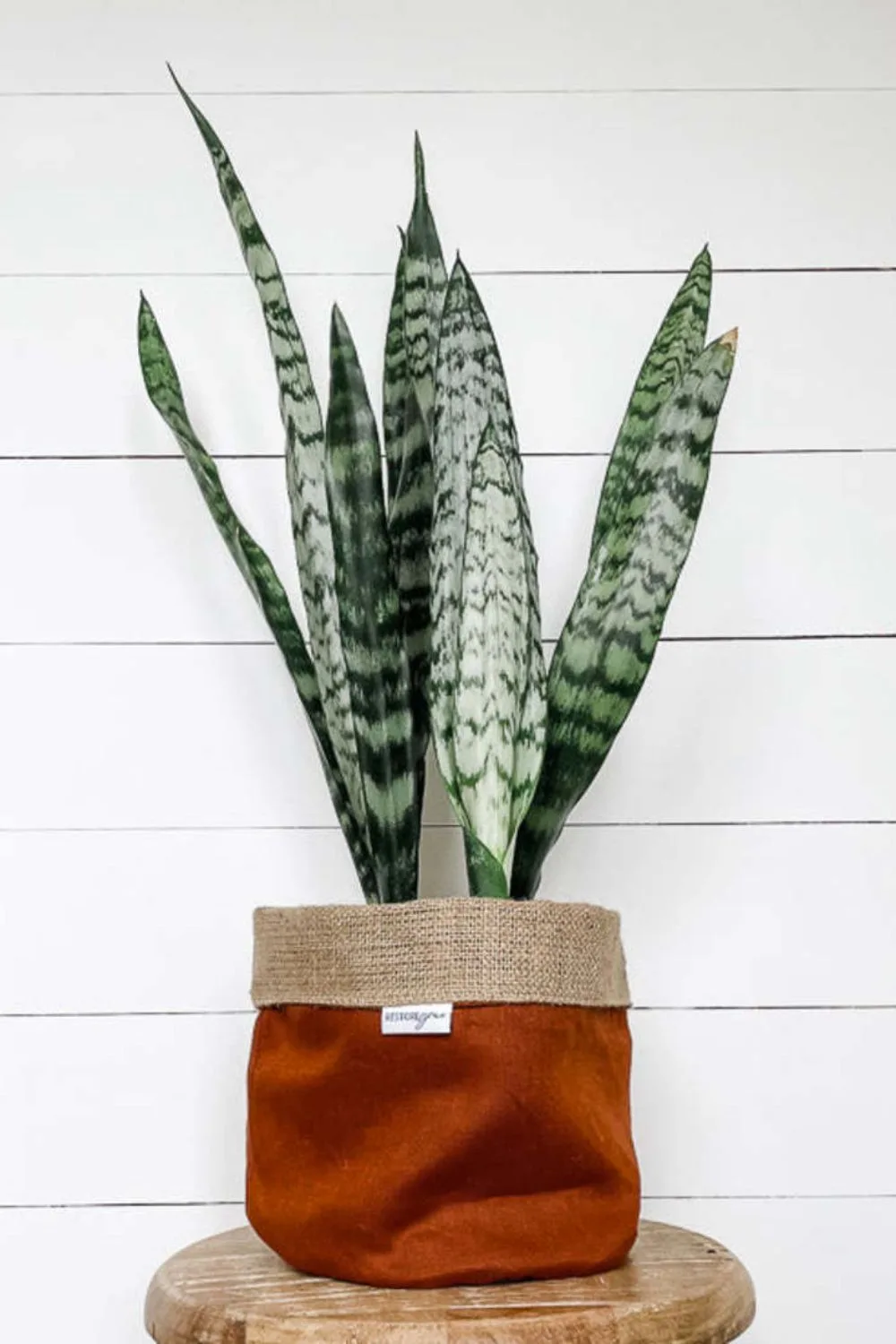 plant-cover-bag-linen-rust