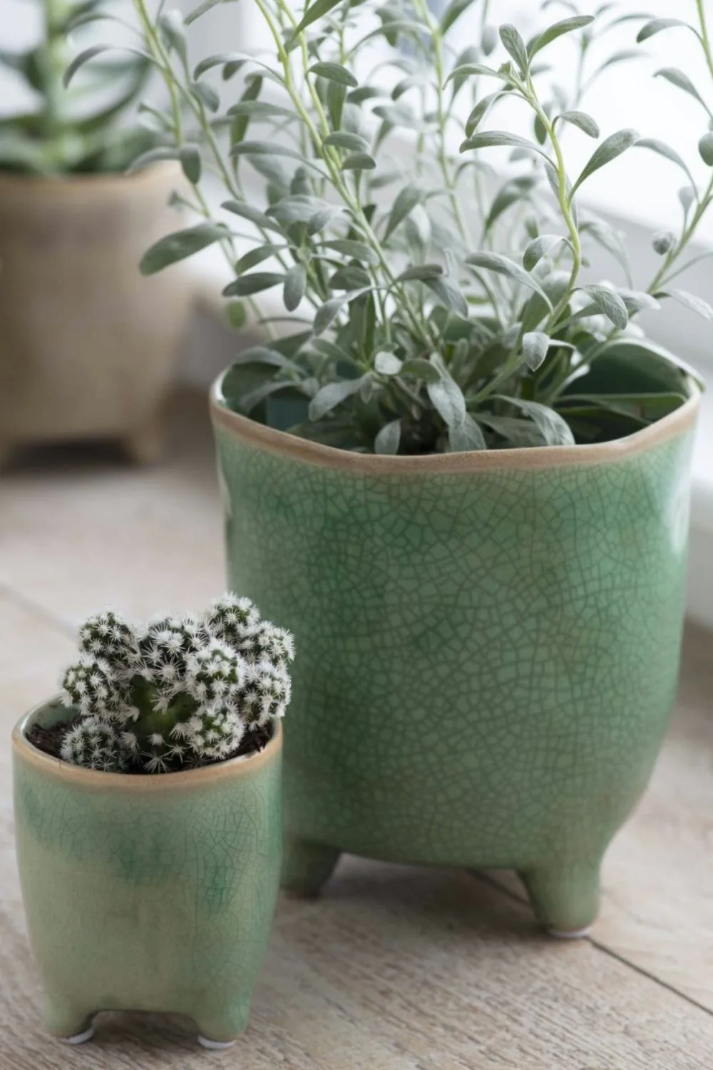 glaze-pot-ceramic-plants-green