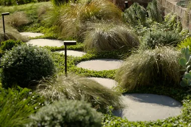 Charlie visits landscape designer Steve Taylor’s garden