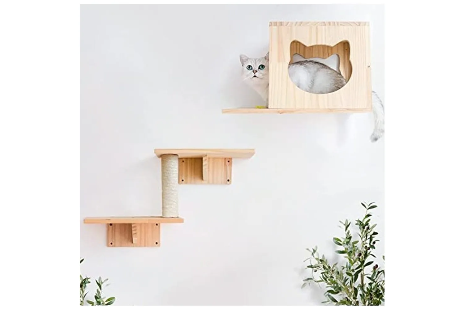 cat furniture