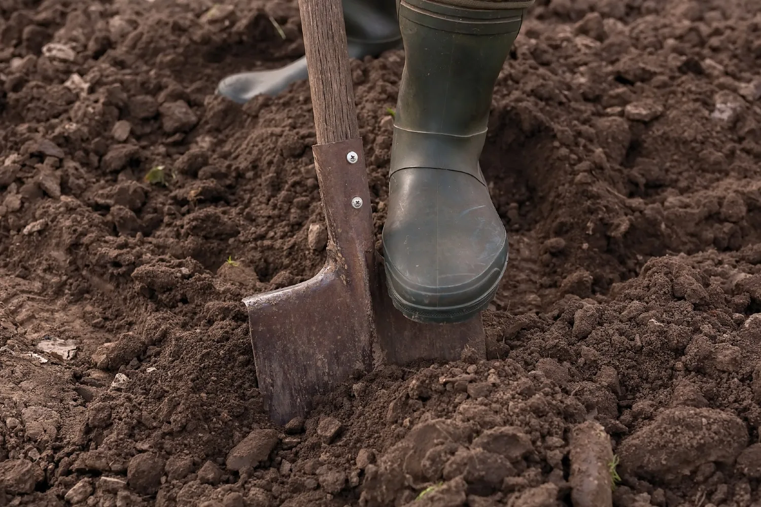 best soil