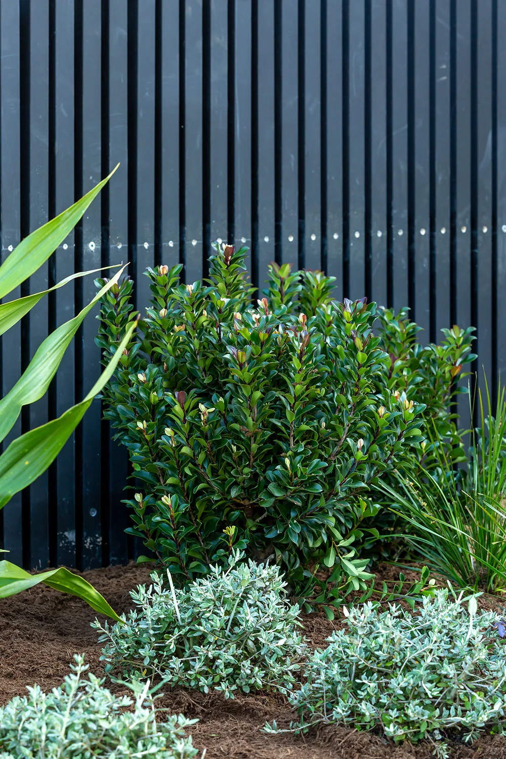 Slatted screen